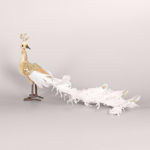 VELVET PEACOCK