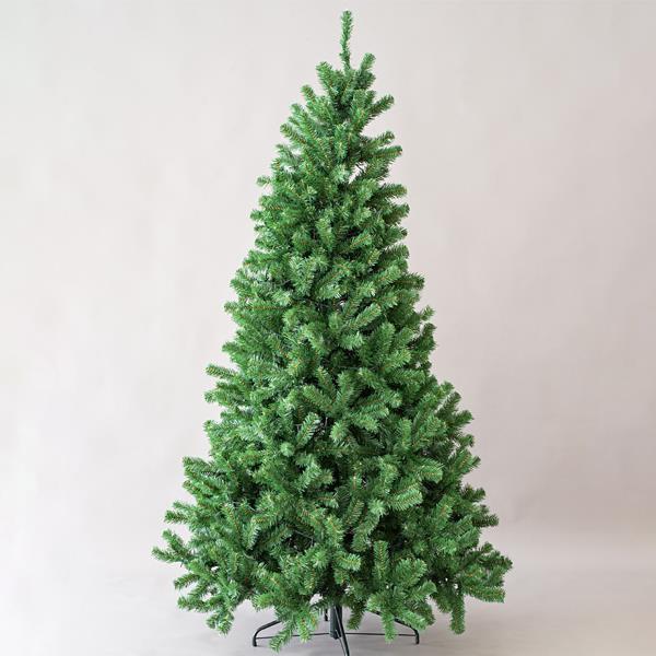 ALABAMA FIR
