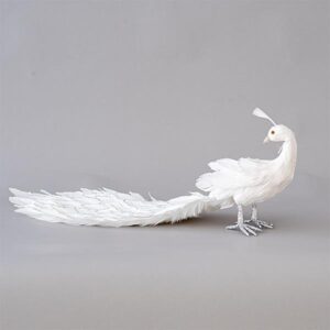 PEACOCK WHITE