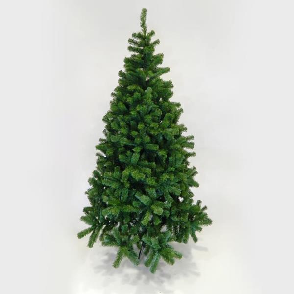 FIR NORMANDY