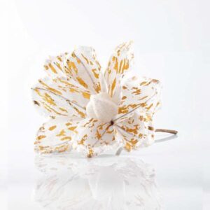 WHITE MAGNOLIA