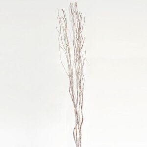 LIGHTED SNOWY BRANCHES