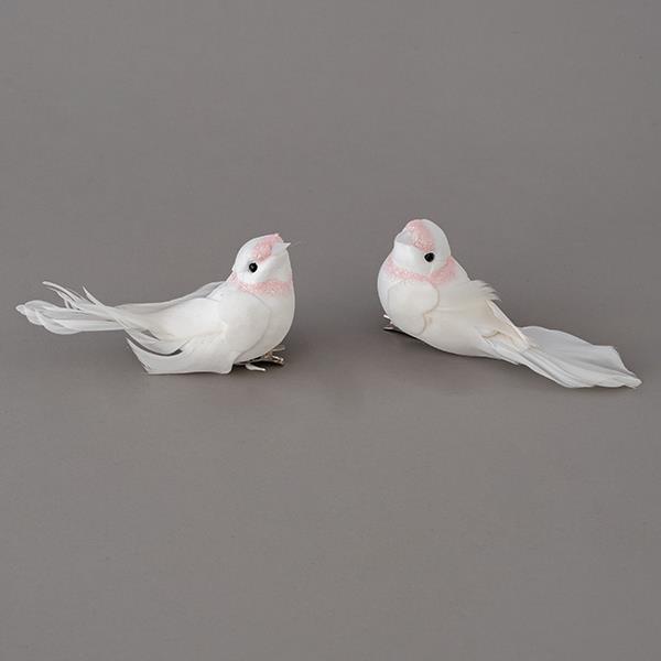 BIRDIE WHITE