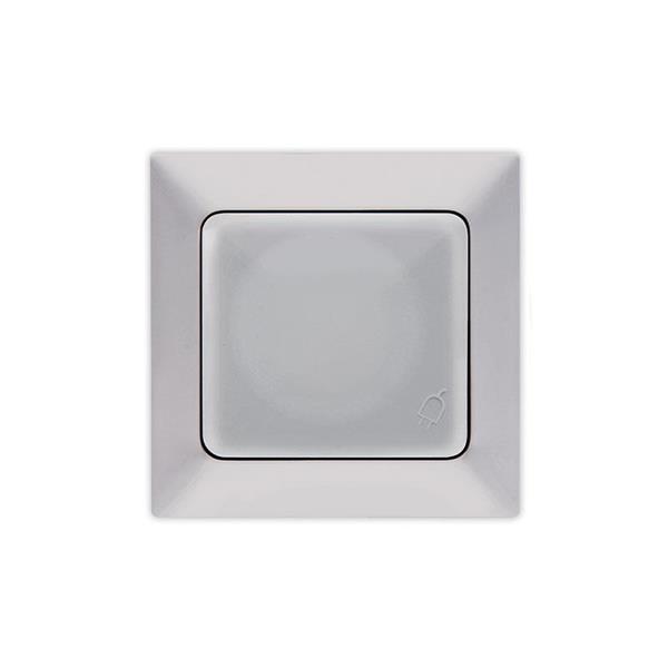 EARTHED SOCKET OUTLET WITH COVER SILVER