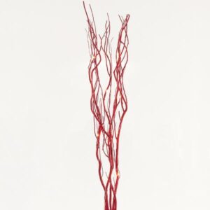 LIGHTED RED BRANCHES