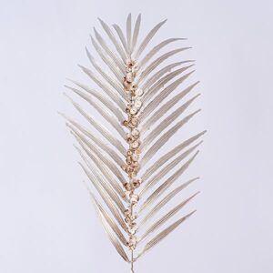 FERN