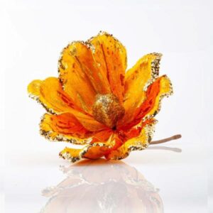 GOLD MAGNOLIA