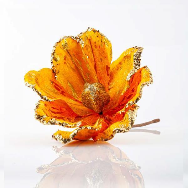 GOLD MAGNOLIA