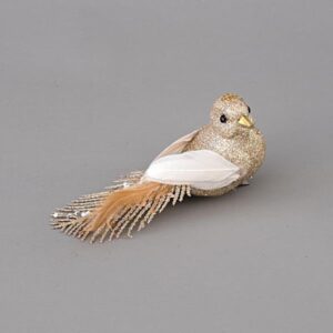 BIRD CHAMPAGNE