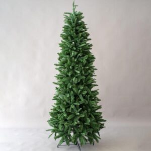 JERSEY FIR