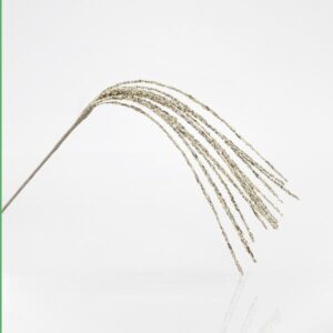 GRASS ΣΑΜΠΑΝΙ
