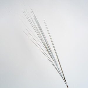 TWIG