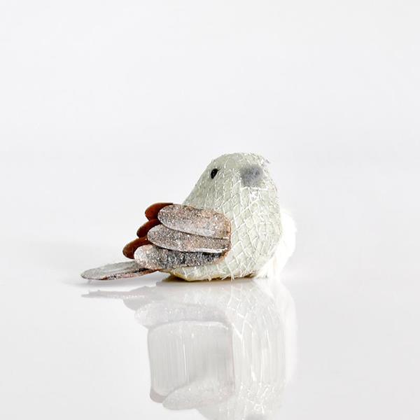 BIRDIE 10x5