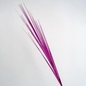 TWIG