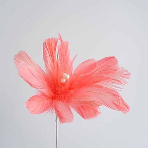 FLOWER WITH FEATHERS FLOWER WITH FEATHERS