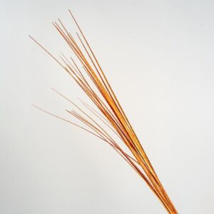 TWIG