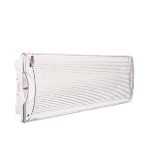 EMERGENCY LIGHT 40 SMD LED 4W IP65