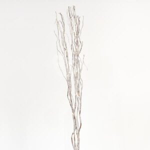 LIGHTED SNOWY BRANCHES