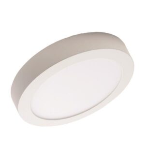 SURFACE MOUNTED LED SLIM LIGHT Φ300 24W 3000K WHITE PLUS