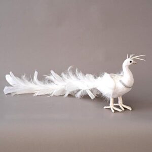 PEACOCK WHITE