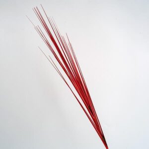TWIG