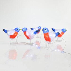 5 ACRYLIC BIRDS LED