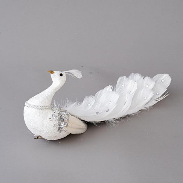 SWAN WHITE