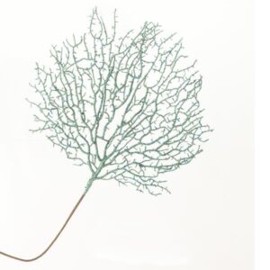 BRANCH CORAL MINT