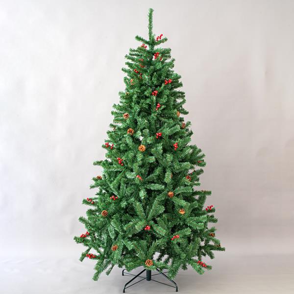 COLUMBIA FIR