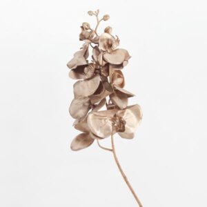 BRANCH BROWN GOLD  WITH DECORATIVE