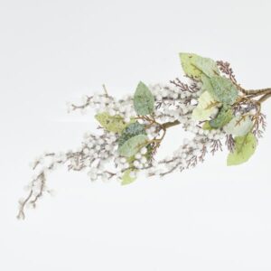 BRANCH