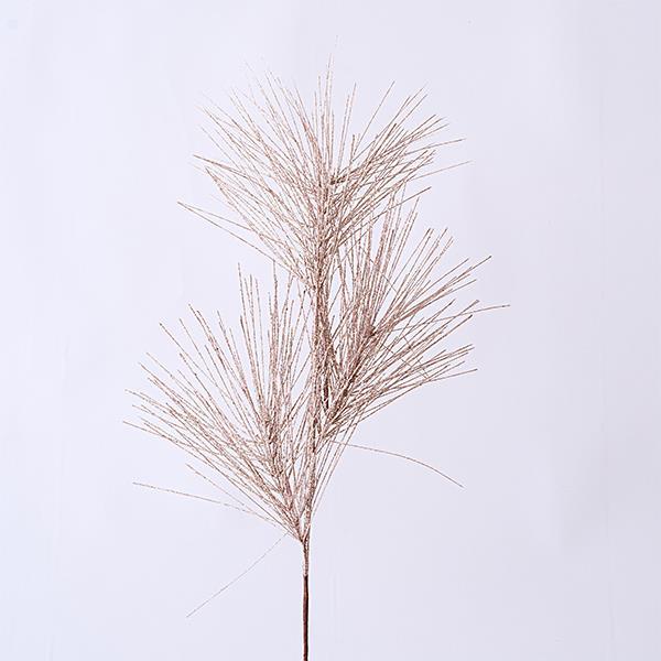 ΚΛΑΔΙ DRACAENA ΚΛΑΔΙ DRACAENA
