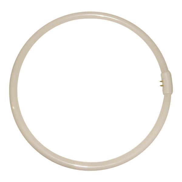 ΛΑΜΠΑ ΦΘΟΡΙΟΥ ΚΥΚΛΙΚΗ Τ9 22W/865 220-240V ΛΑΜΠΑ ΦΘΟΡΙΟΥ ΚΥΚΛΙΚΗ Τ9 22W/865 220-240V