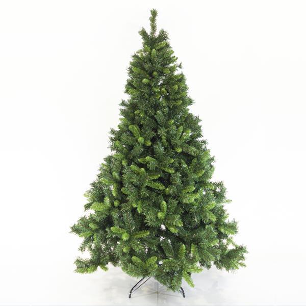 VIRGINIA FIR