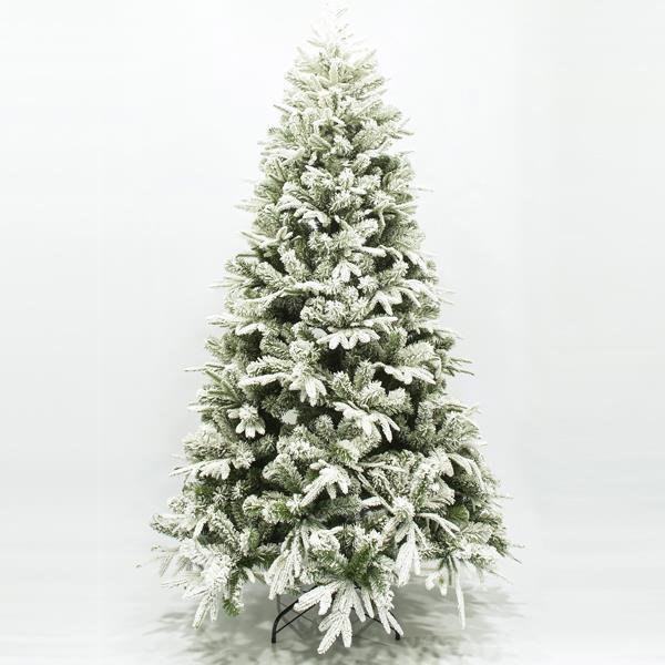 TREE OLYMPUS TREE OLYMPUS